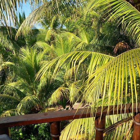 Iguana Libre Hotel โดมินิกัล ภายนอก รูปภาพ