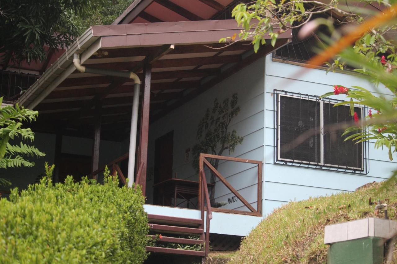 Iguana Libre Hotel โดมินิกัล ภายนอก รูปภาพ