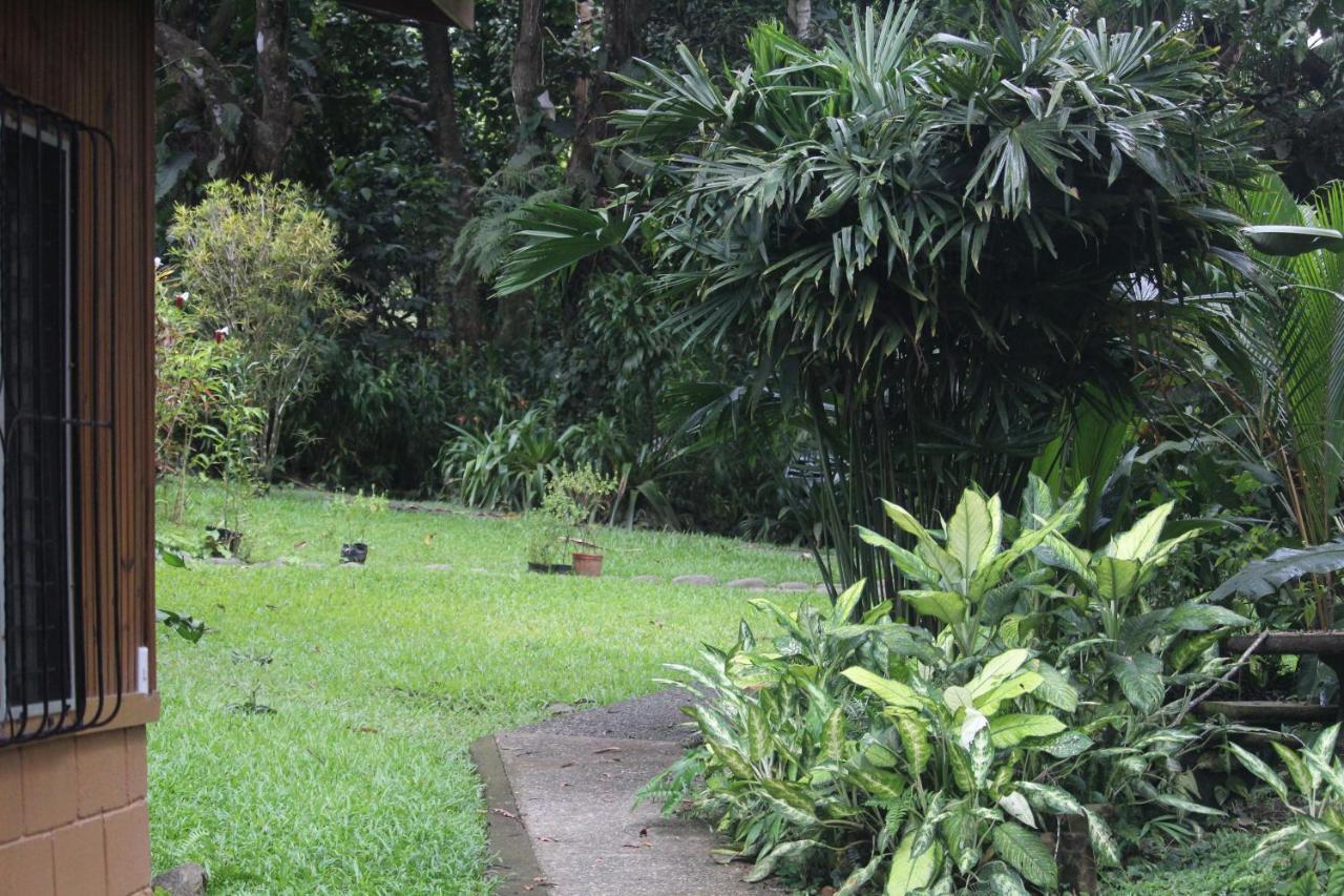 Iguana Libre Hotel โดมินิกัล ภายนอก รูปภาพ