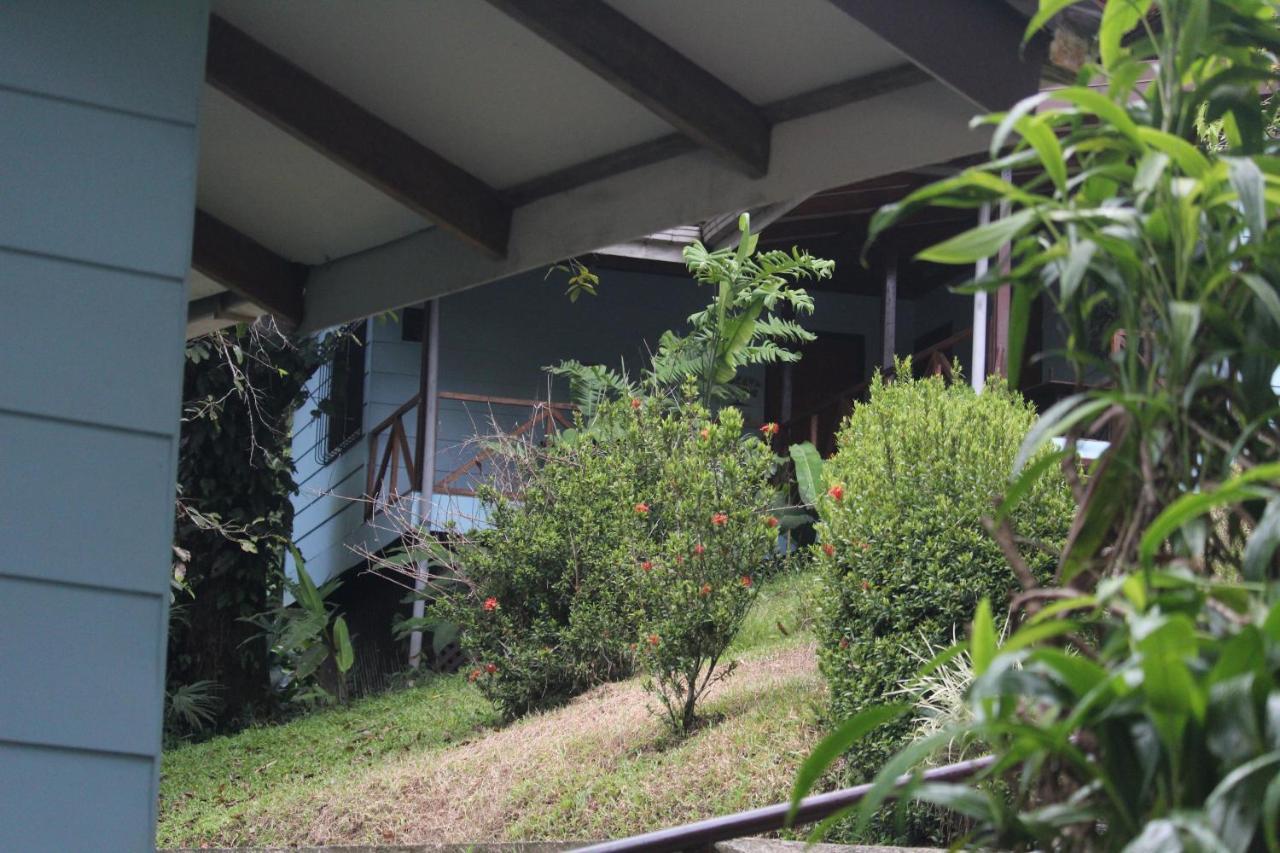 Iguana Libre Hotel โดมินิกัล ภายนอก รูปภาพ