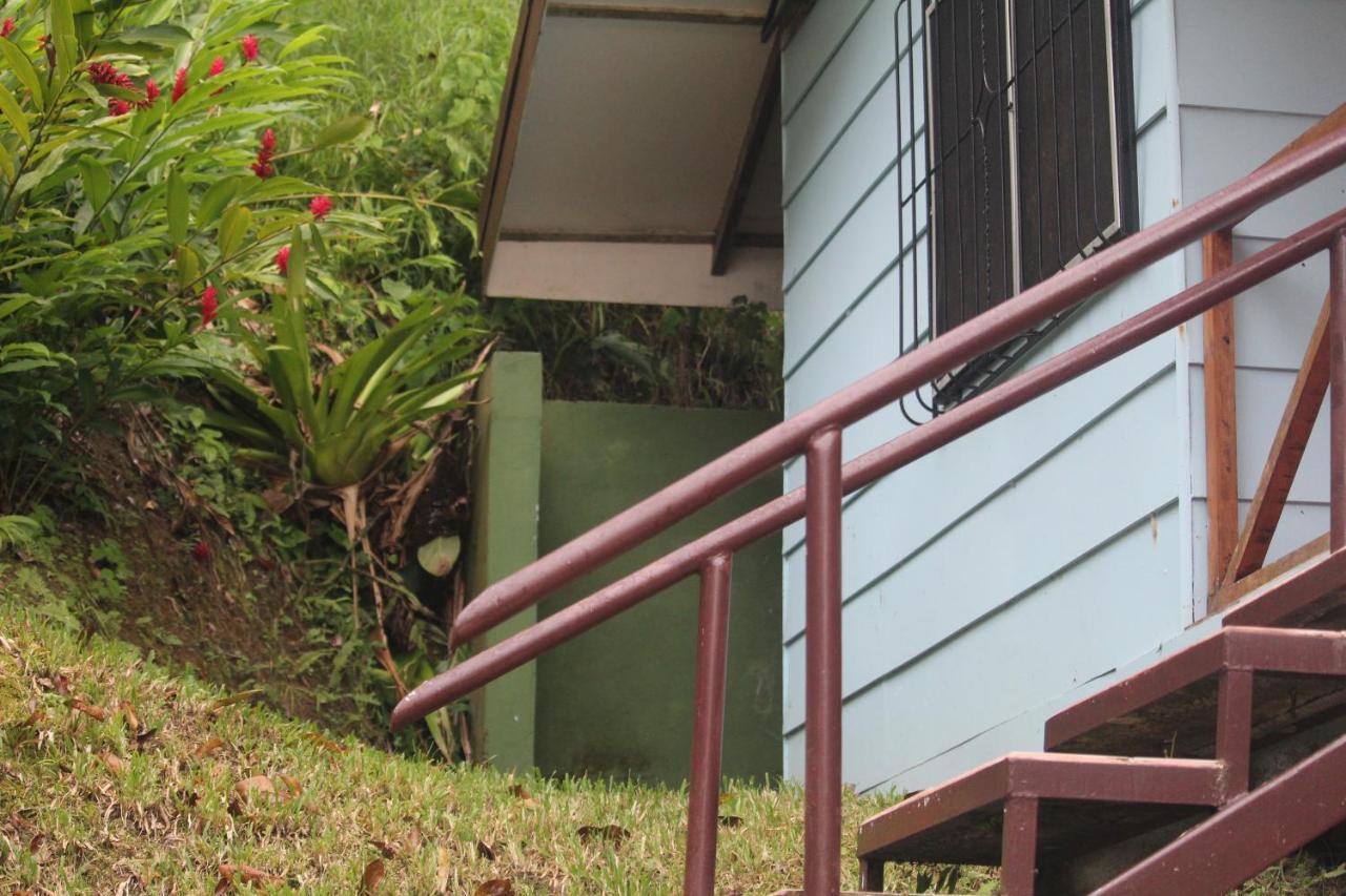 Iguana Libre Hotel โดมินิกัล ภายนอก รูปภาพ