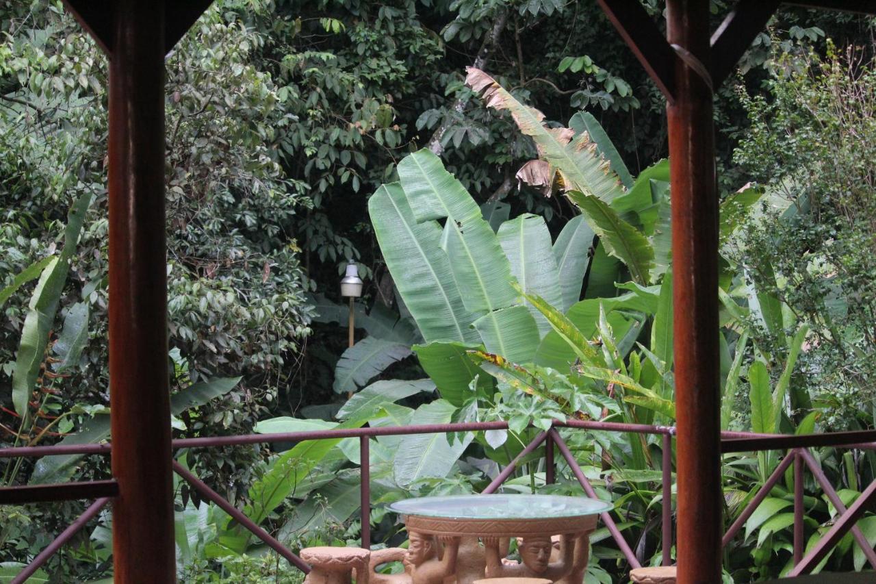 Iguana Libre Hotel โดมินิกัล ภายนอก รูปภาพ