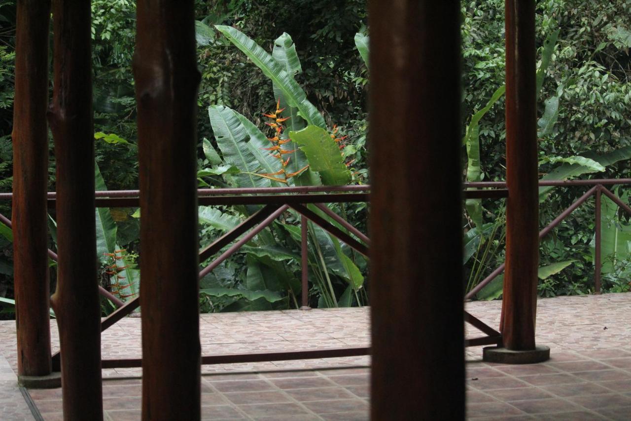 Iguana Libre Hotel โดมินิกัล ภายนอก รูปภาพ