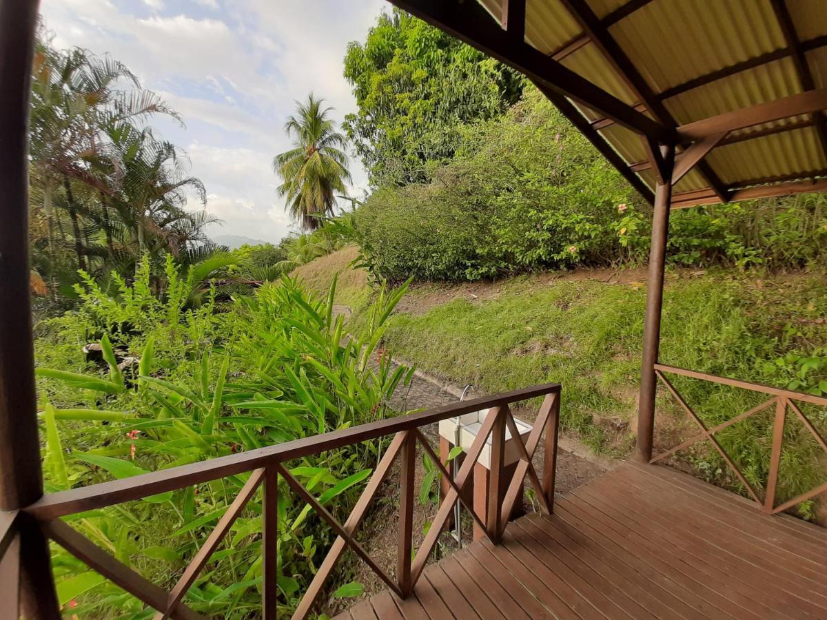Iguana Libre Hotel โดมินิกัล ภายนอก รูปภาพ