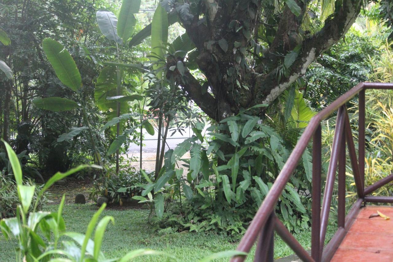 Iguana Libre Hotel โดมินิกัล ภายนอก รูปภาพ