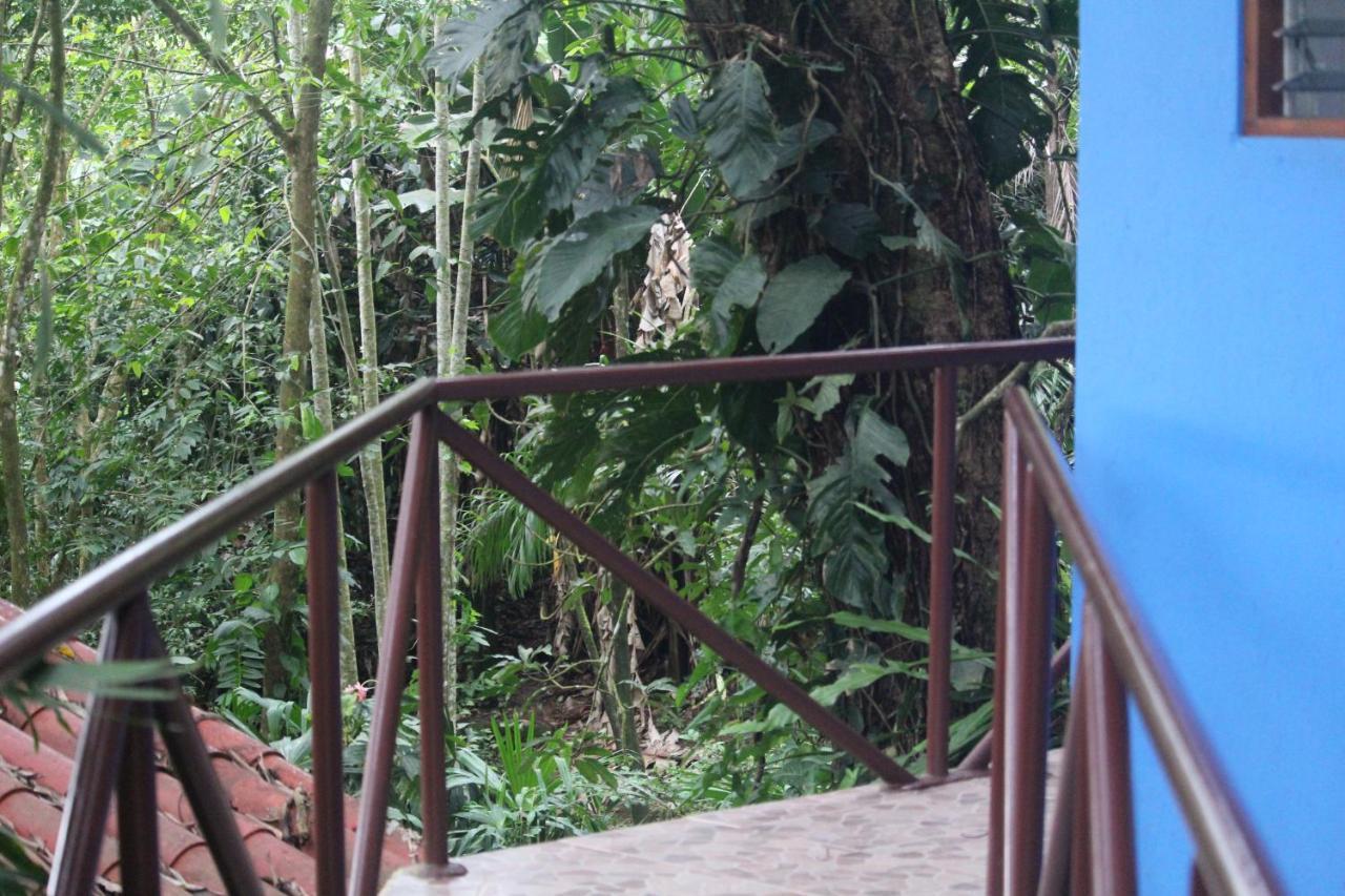 Iguana Libre Hotel โดมินิกัล ภายนอก รูปภาพ