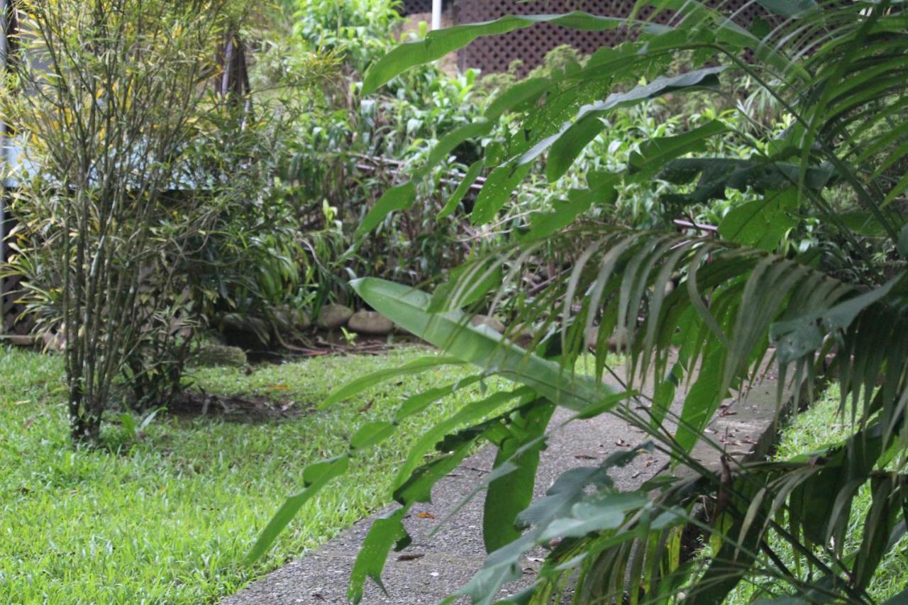 Iguana Libre Hotel โดมินิกัล ภายนอก รูปภาพ