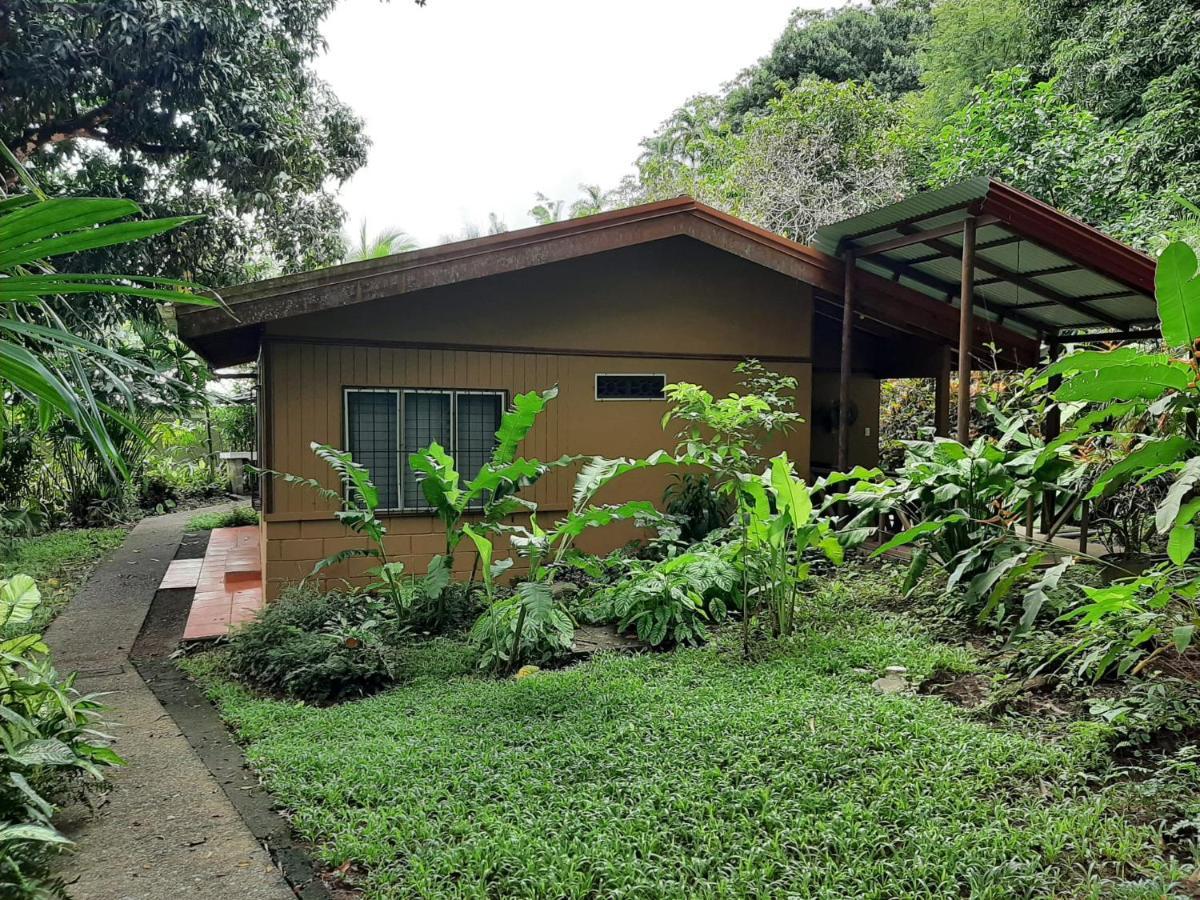 Iguana Libre Hotel โดมินิกัล ภายนอก รูปภาพ