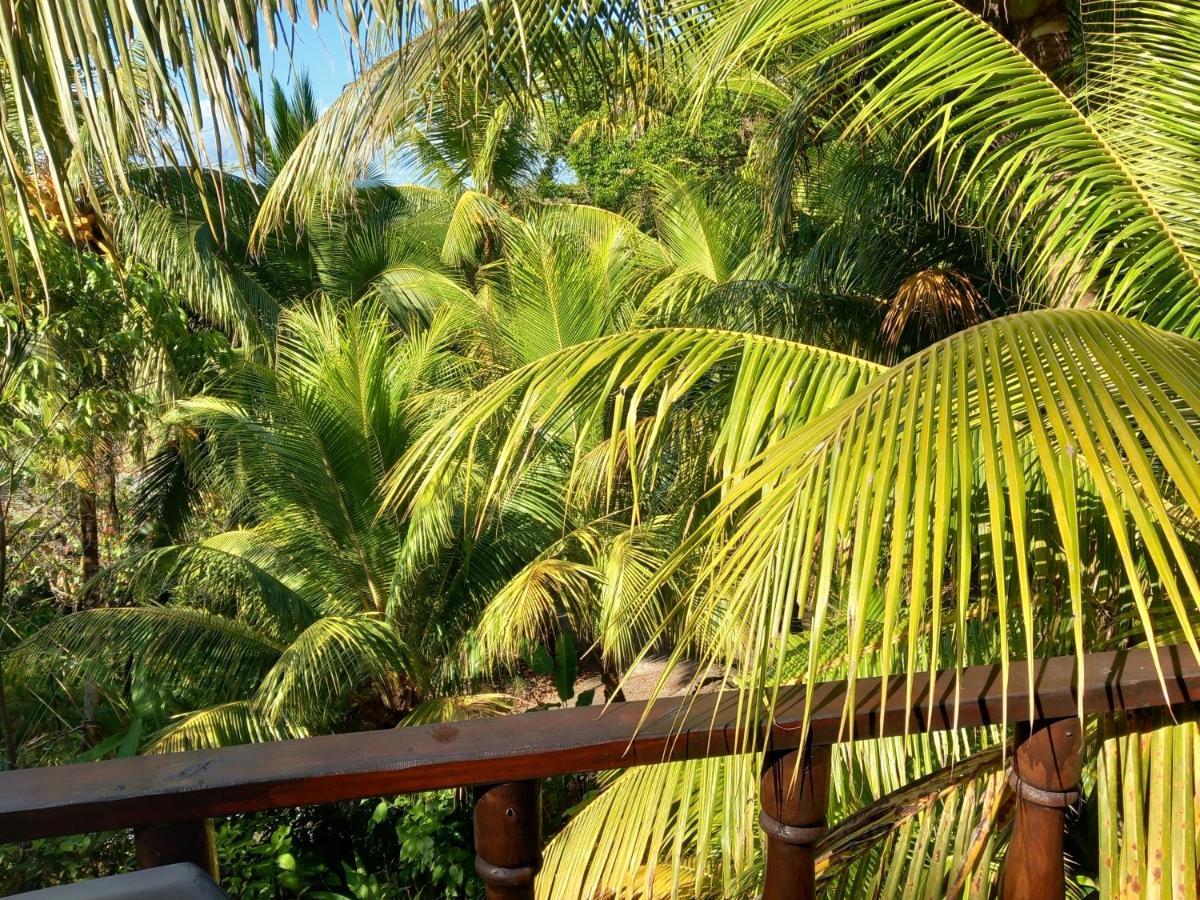 Iguana Libre Hotel โดมินิกัล ภายนอก รูปภาพ